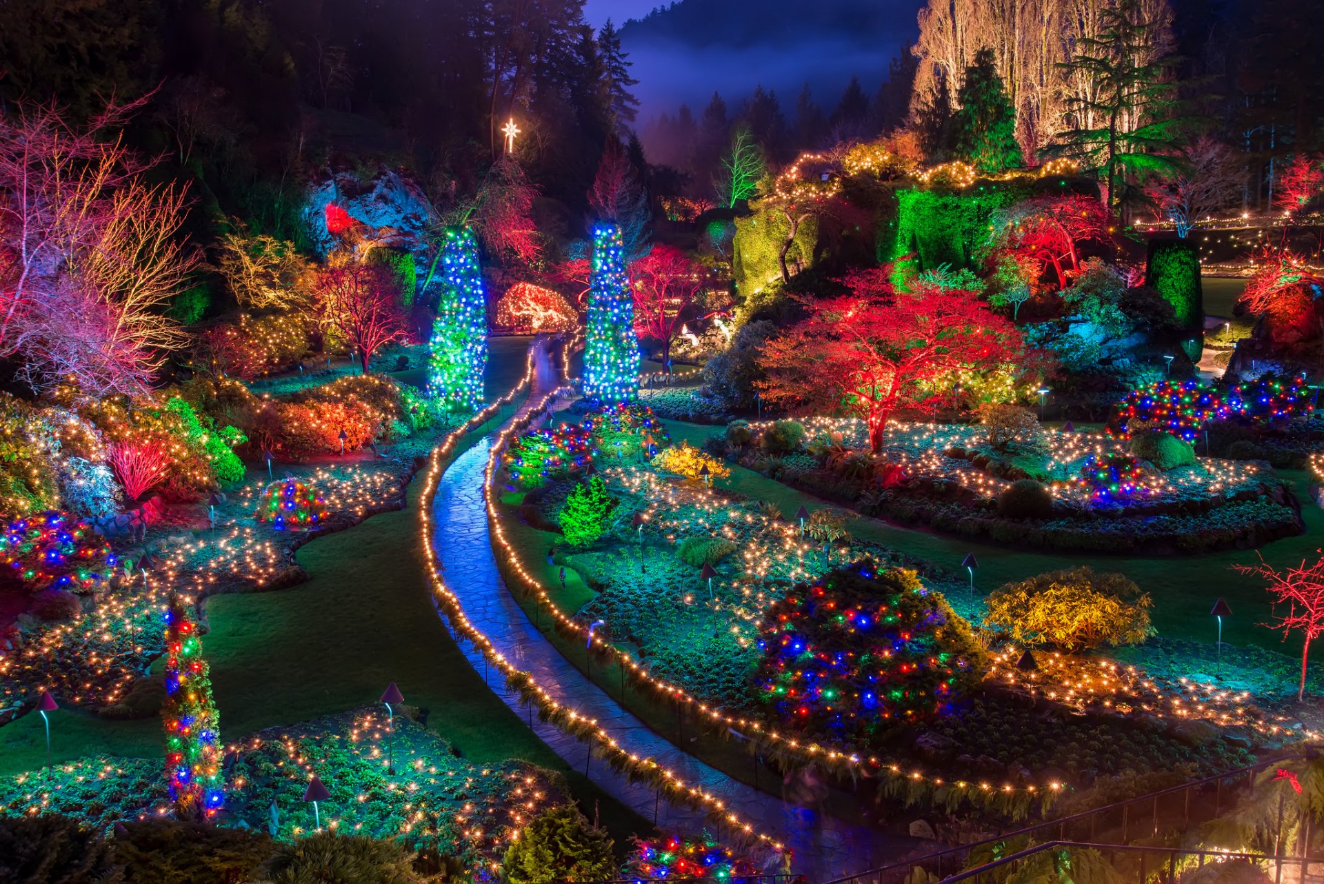 parque jardín árboles luces guirnaldas