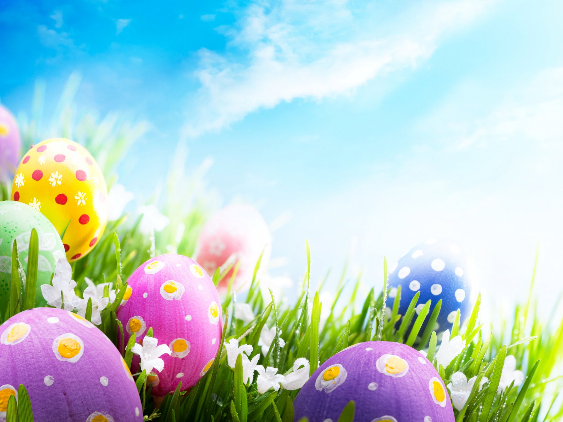 holiday easter sky eggs grass photo