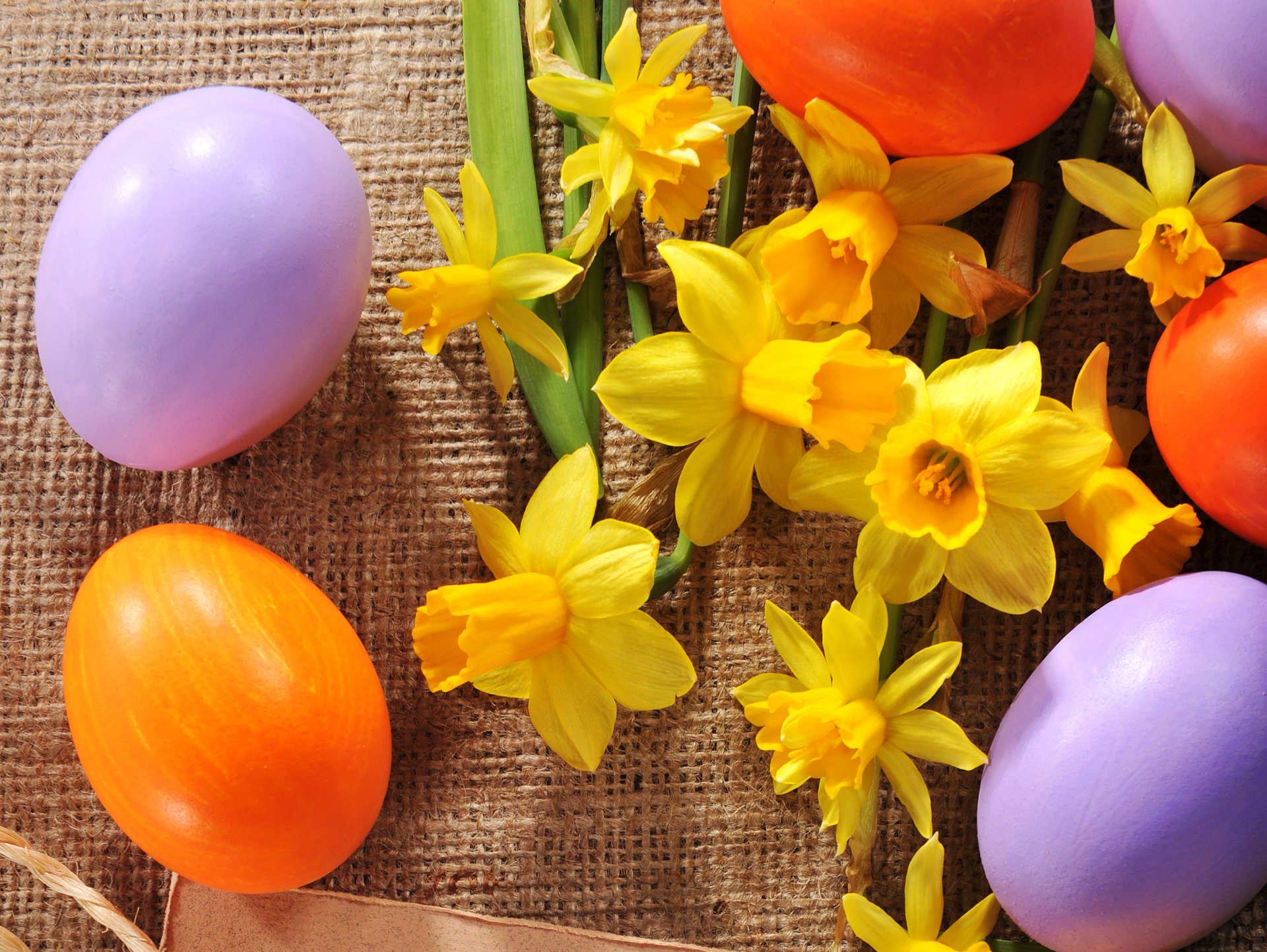 vacanza pasqua narcisi uova varie fiori foto