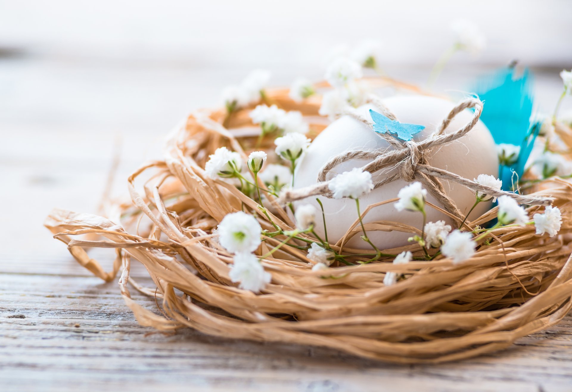 ostern eier frühling blumen nest