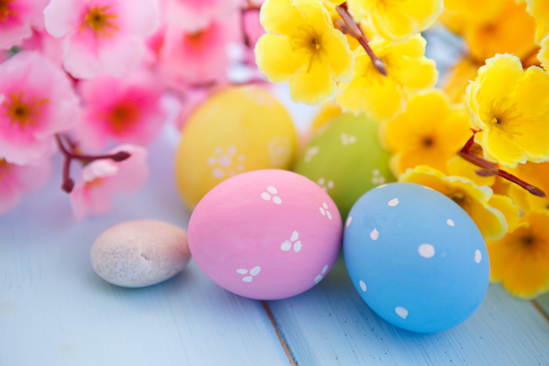 easter eggs flowers spring