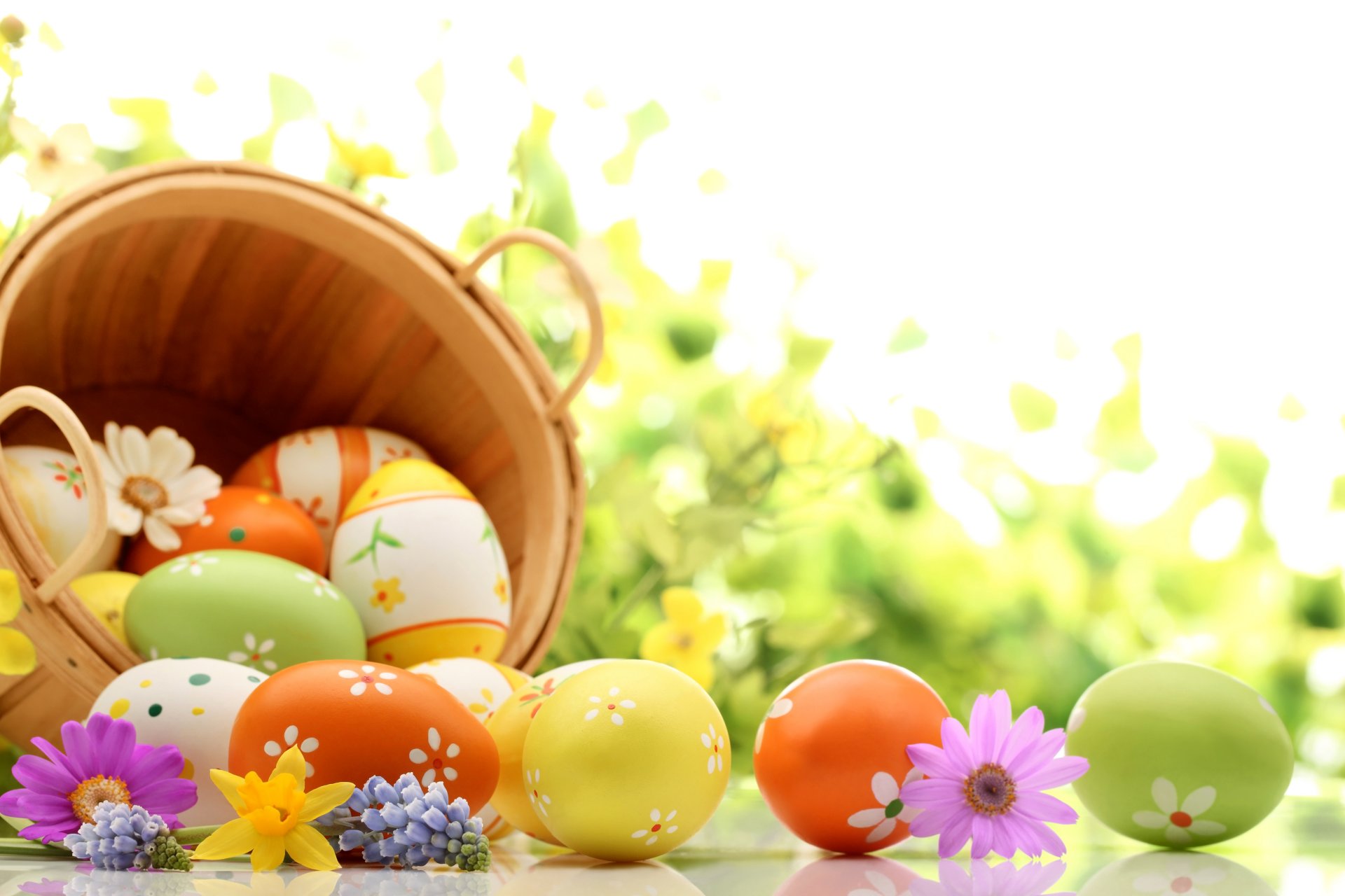 holiday easter chamomile eggs basket photo