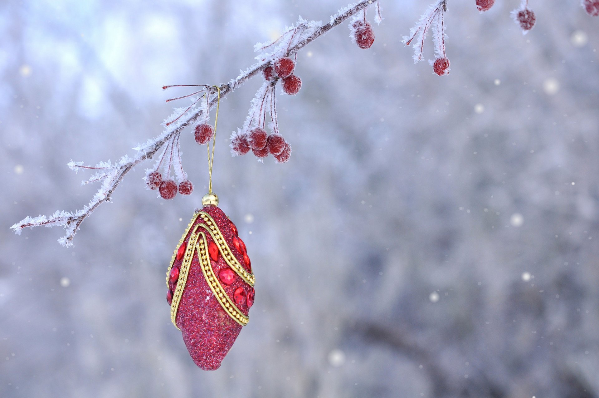 noël nouvel an branche baies fruits givre jouet décoration