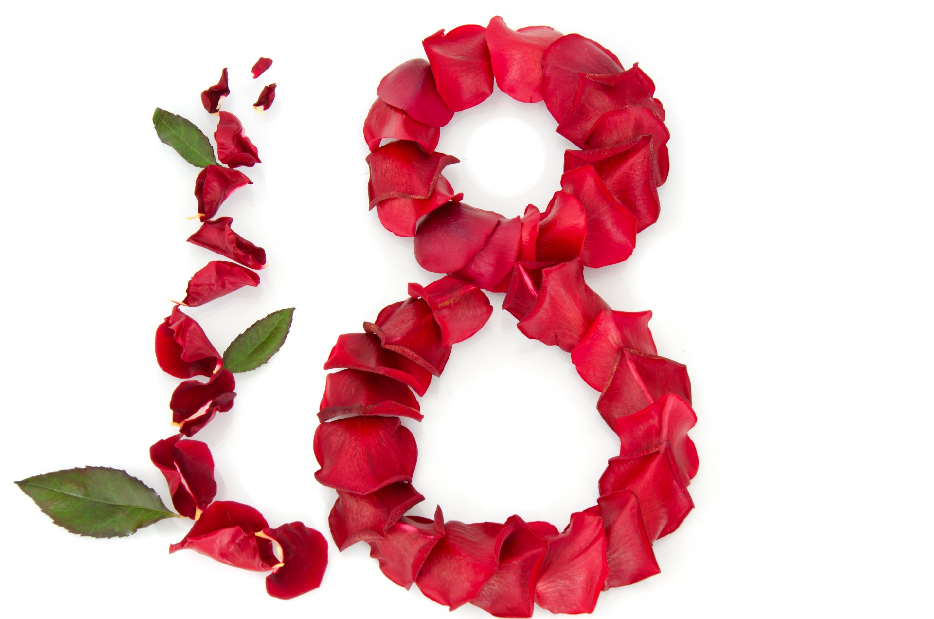 march 8 women s day petals roses red leaves greeting white background