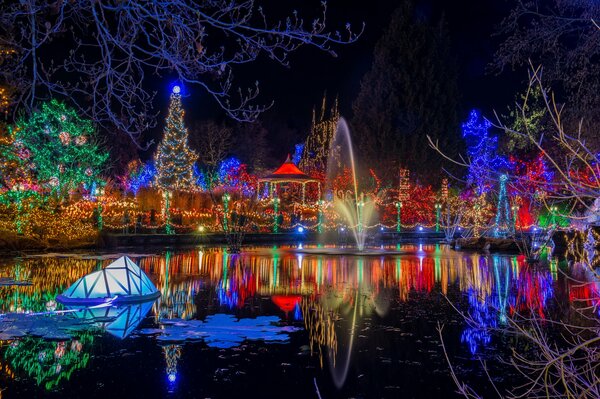 Parco nelle luci nel riflesso dello stagno