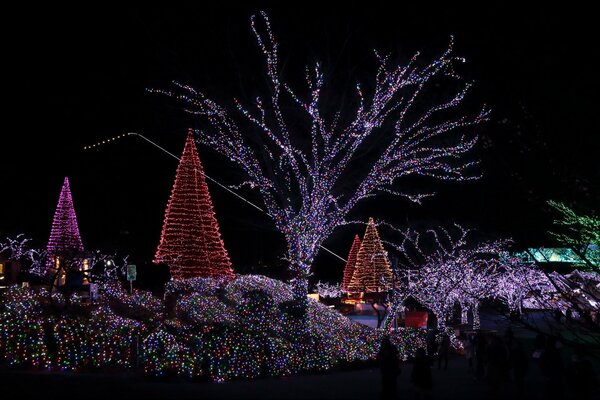 Weihnachtsdekoration des Hofes und der Bäume mit Hunderten von Lichtern funkelnder Girlanden