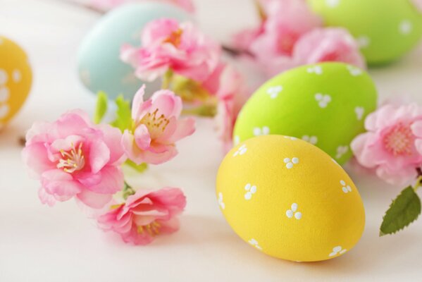 Yellow and light green Easter eggs and pink flowers