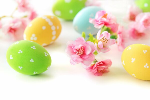 Oeufs de Pâques colorés et branche fleurie