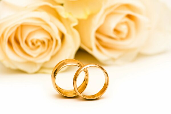 Two wedding rings on a background of white roses