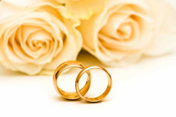 Dos anillos de boda sobre un fondo de rosas blancas
