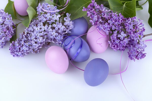 Oeufs lilas Pâques printemps