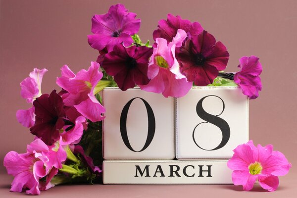 Розовые петунии на 8 марта поздравление