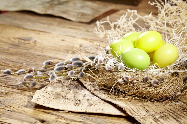 Gelbe und grüne Eier im Nest. Weide. Ostern