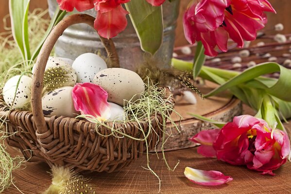 Eier im Korb auf Tulpenhintergrund