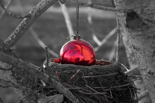 Leuchtend rotes Weihnachtsspielzeug im Nest