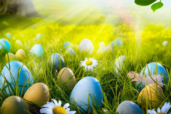 Ostereier auf Gras mit Gänseblümchen