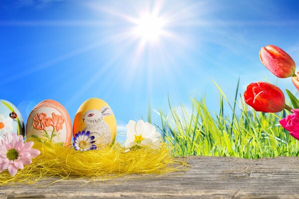 Easter eggs in a decorative nest. Red and pink tulips under the sun