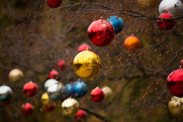 Bolas de Navidad en una rama