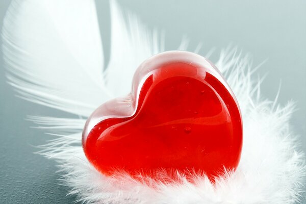 Valentine s Day heart with a feather
