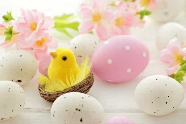 Pink spring flowers. Pink and white testicles. Easter. Yellow chicken in the nest