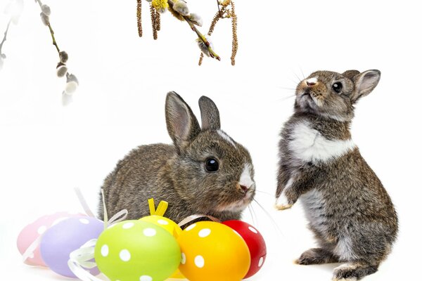 Lapins de Pâques avec une branche de saule