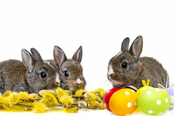 Tres conejos al lado de los huevos de Pascua de colores