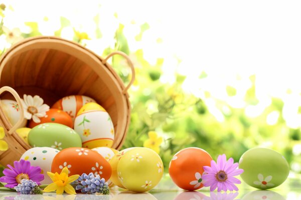 Flowers and Easter eggs in a basket