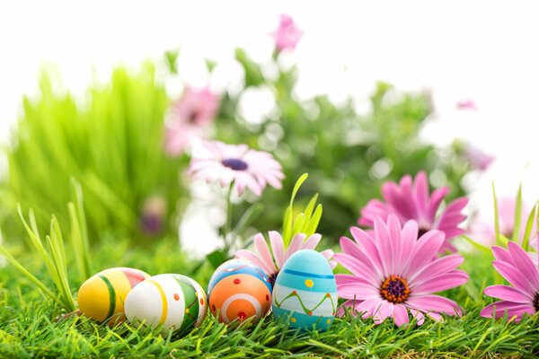 Oeufs de Pâques parmi les fleurs et l herbe