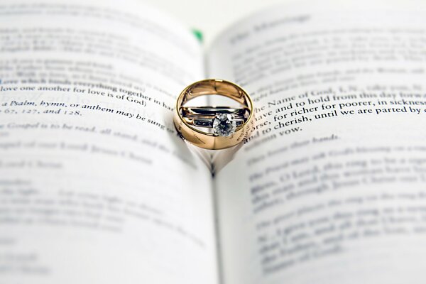 Macro shot: anelli di nozze per gli amanti