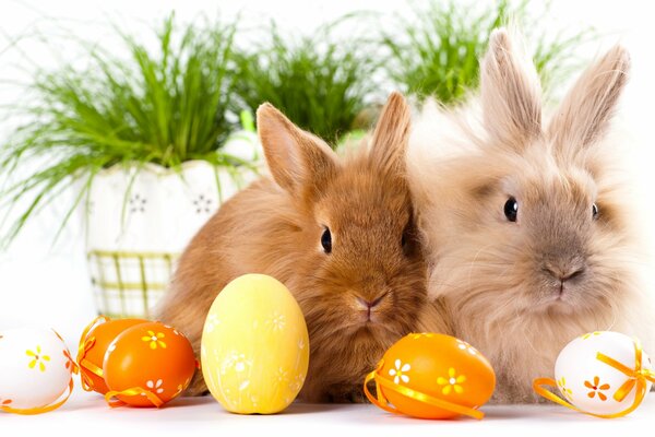 Lapins mignons et oeufs de Pâques