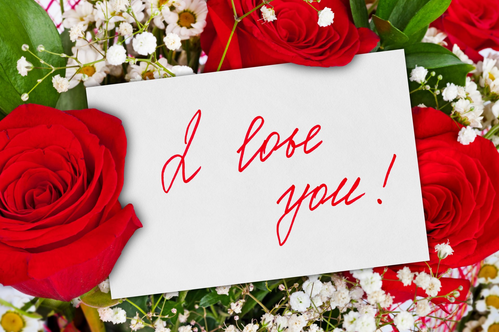 blume blumen rose rosen blumenstrauß rote rosen cool schön niedlich hübsch schönheit ich liebe dich für dich liebesromane romantisch romantik