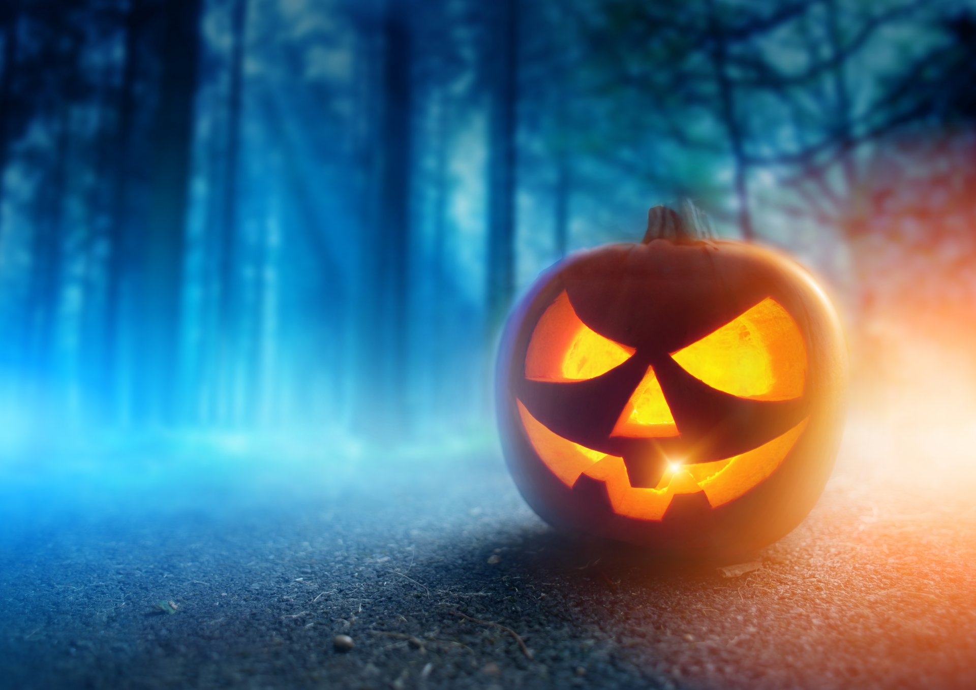 halloween pumpkin face holiday smile night autumn forest