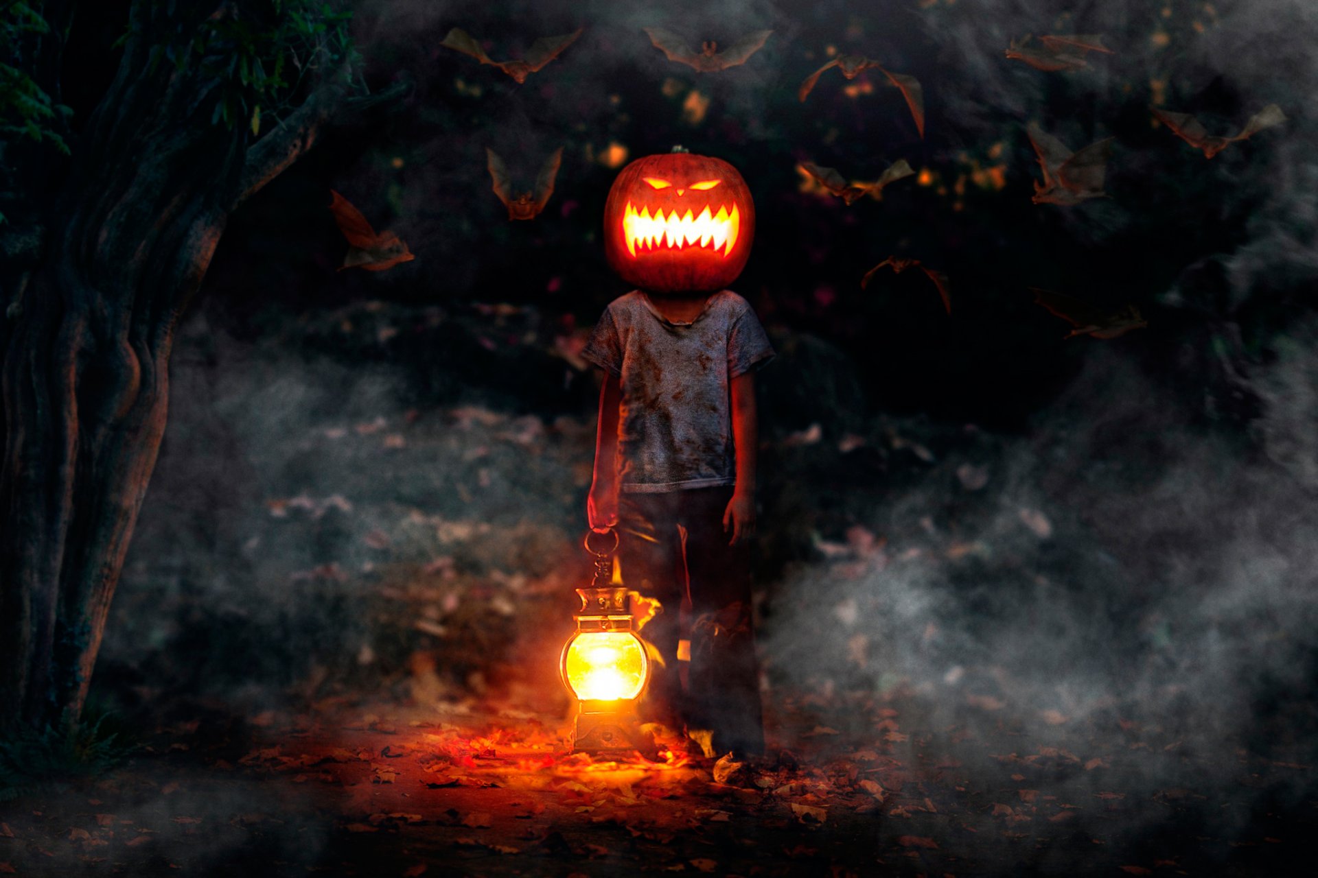 happy halloween chłopiec dynia nietoperze horror