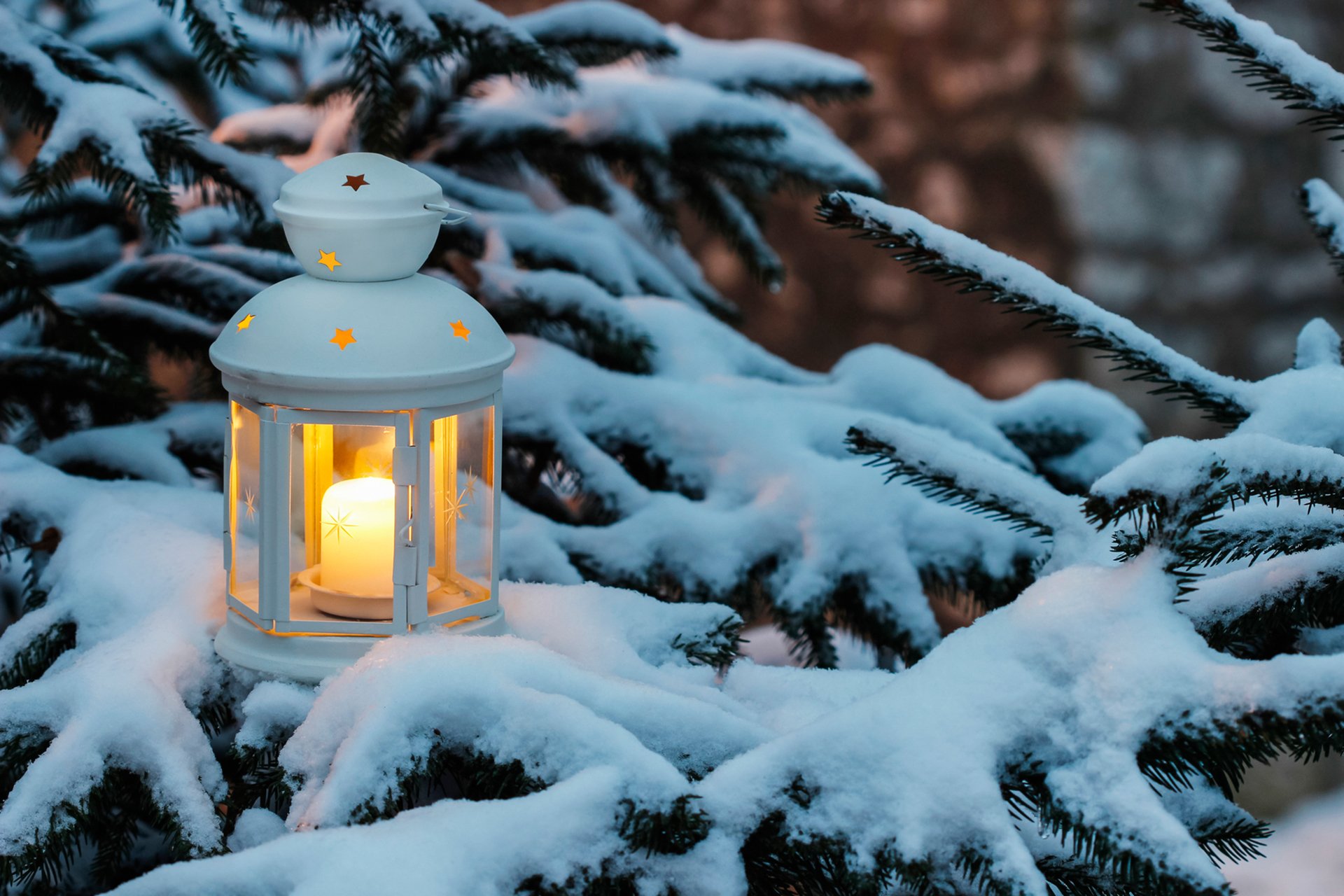 light candle christmas tree branch snow winter holiday new year christma