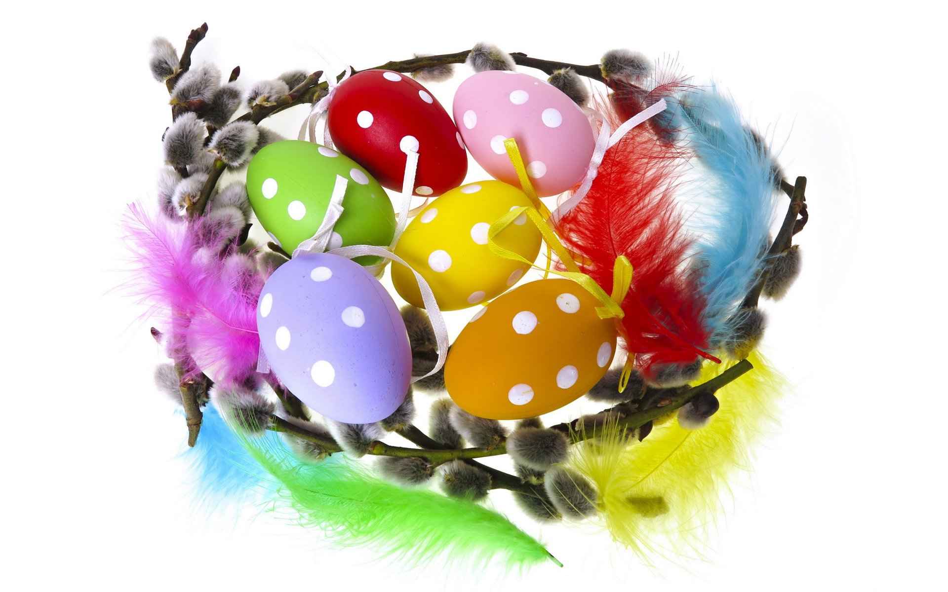 pasqua uova variopinte salici della verga salice