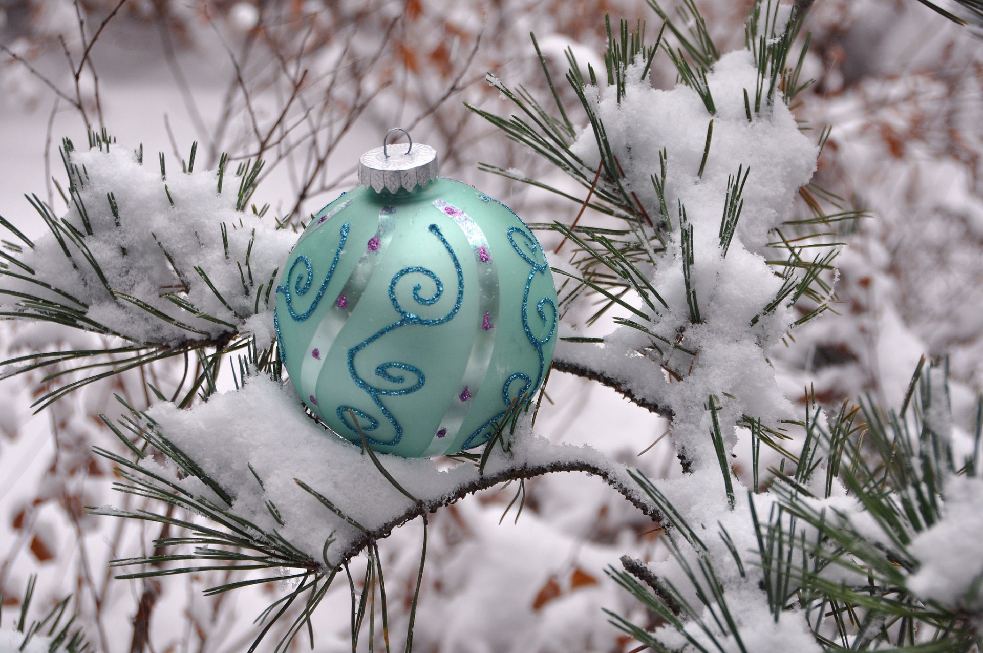 hiver neige pin aiguilles boule décoration nouvel an noël