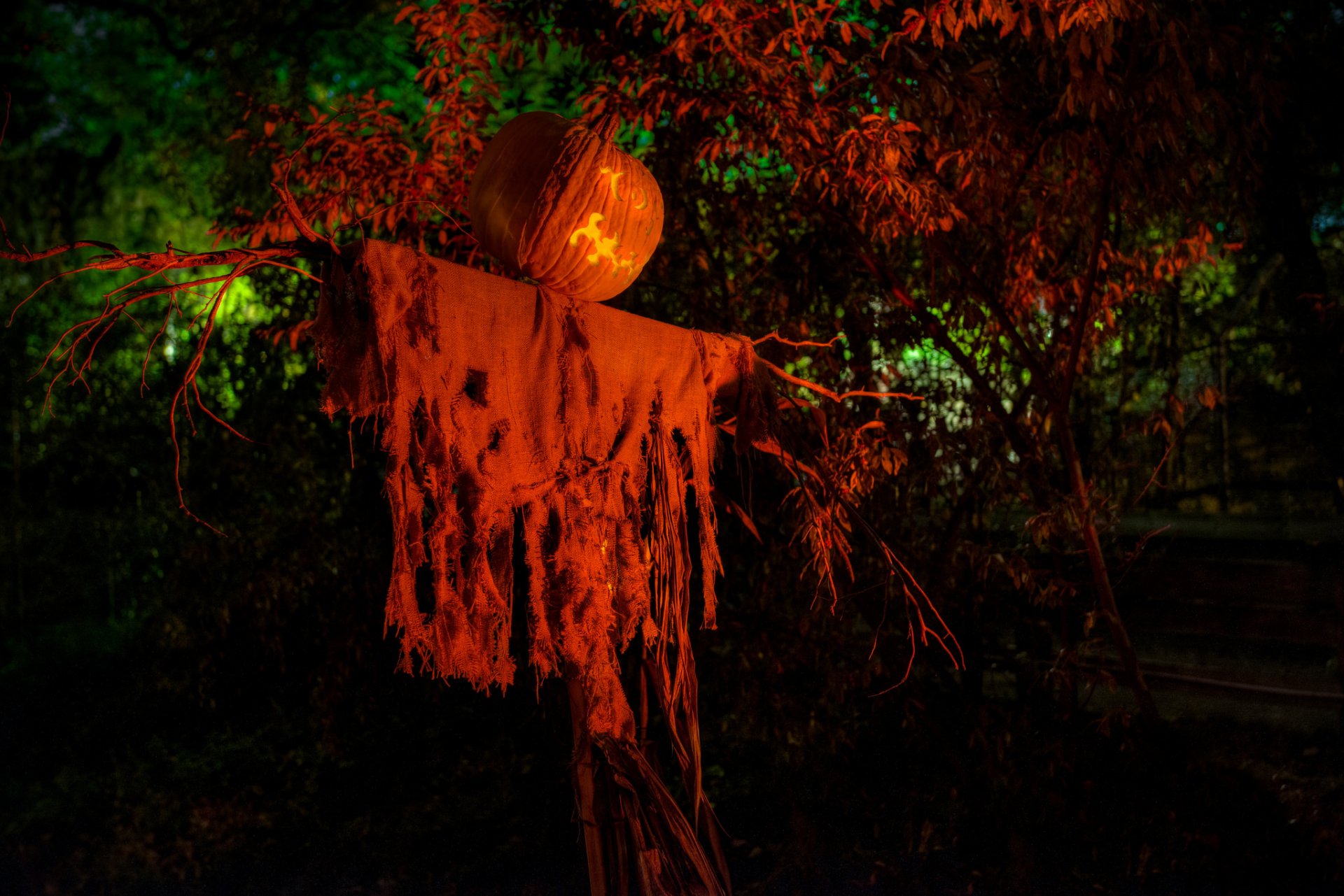 calabaza fantasma vacaciones