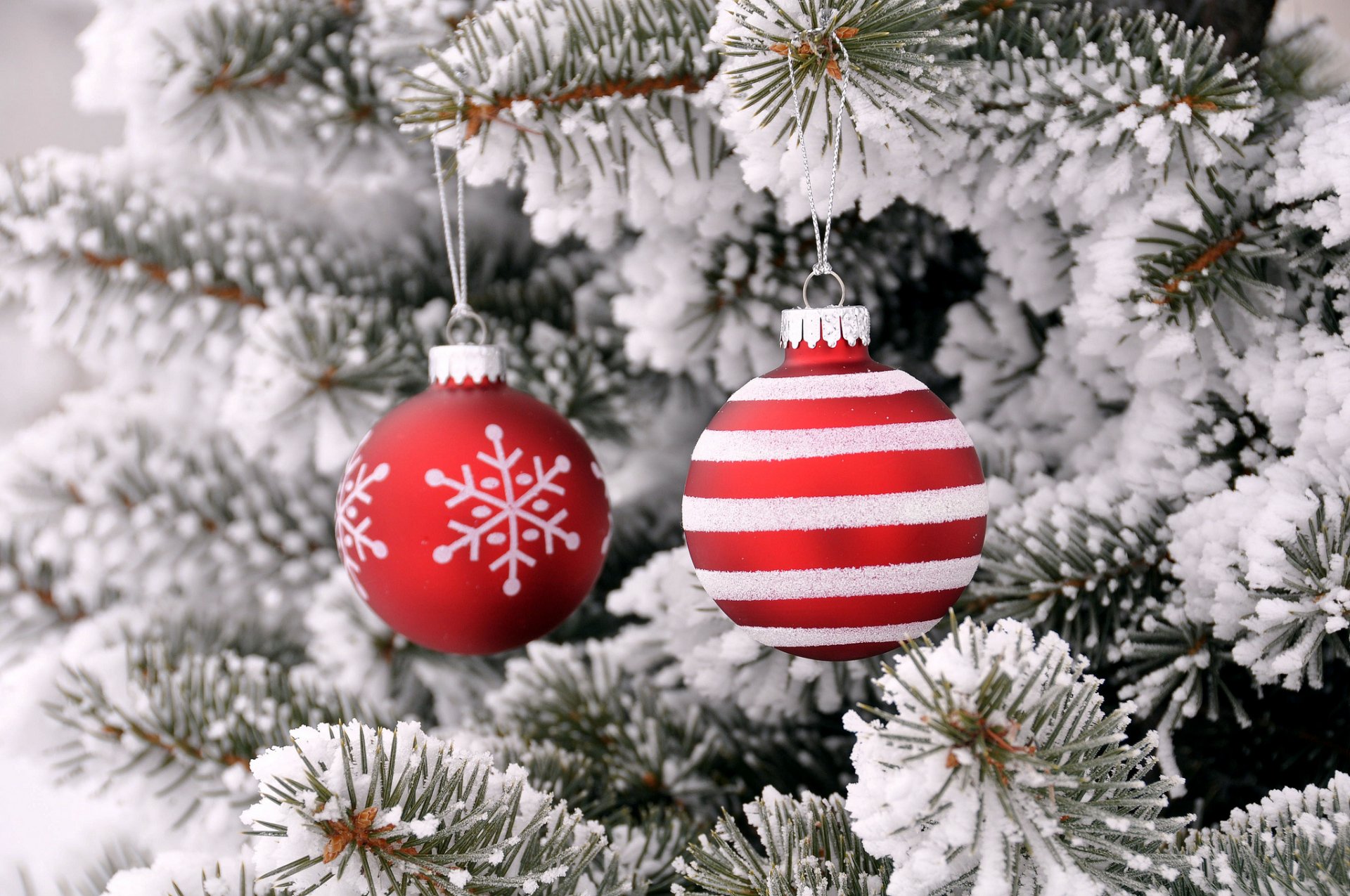 abete neve albero di natale palle giocattoli decorazione nuovo anno natale