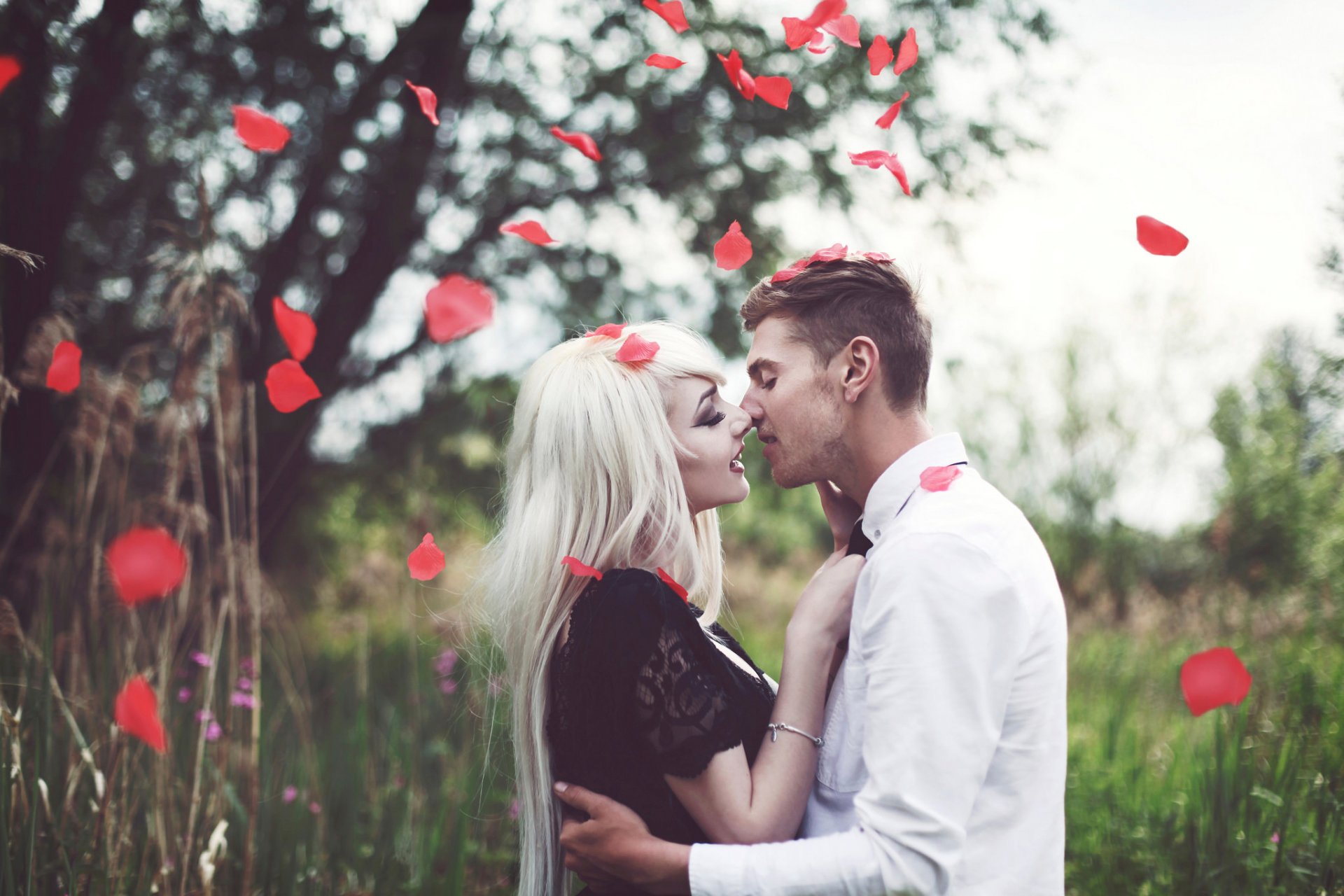 sposo sposa matrimonio bacio petali di rosa