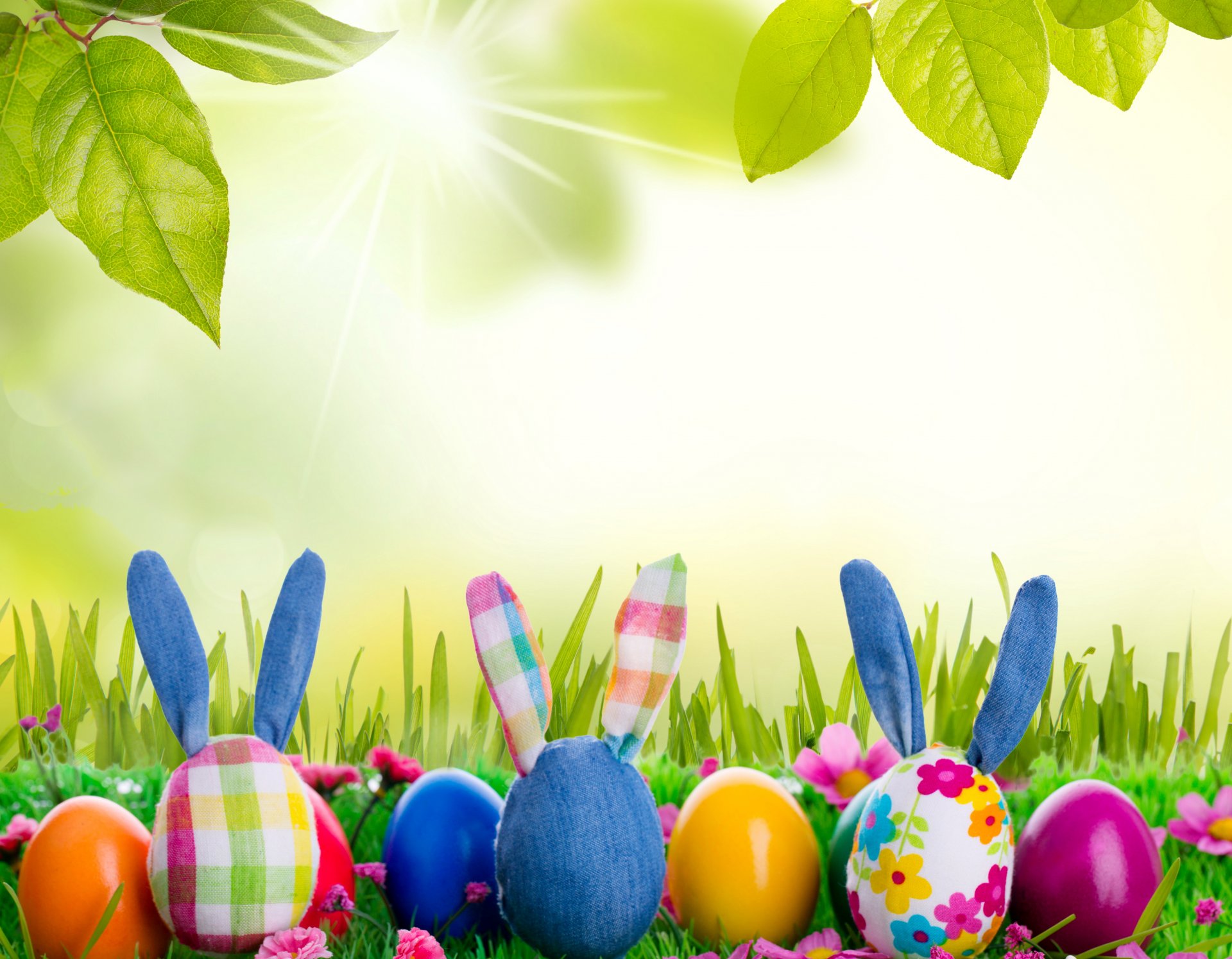 pasqua coniglio primavera sole prato erba uova fiori primavera giocattolo