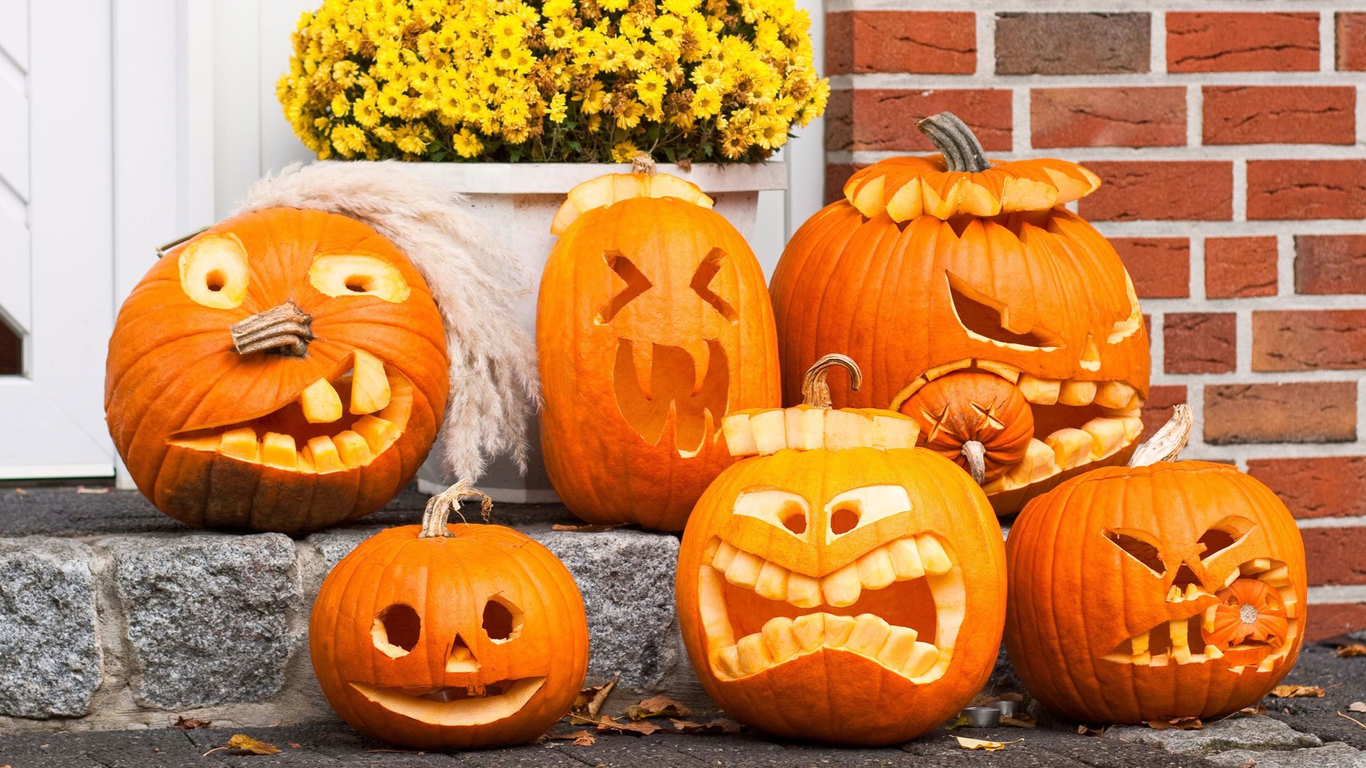 halloween wakacje dynie nastrój
