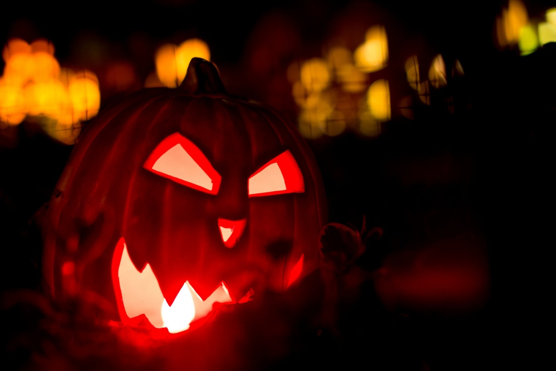 halloween kürbis urlaub nacht