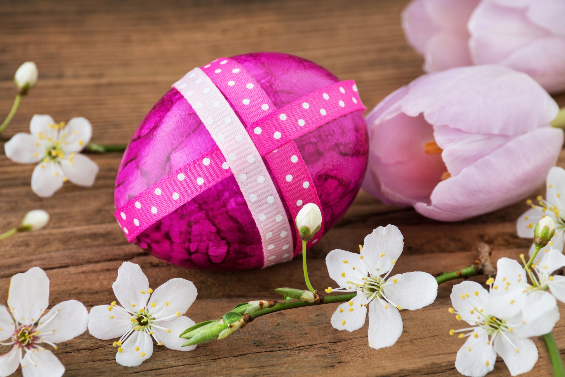 easter eggs easter eggs happy easter