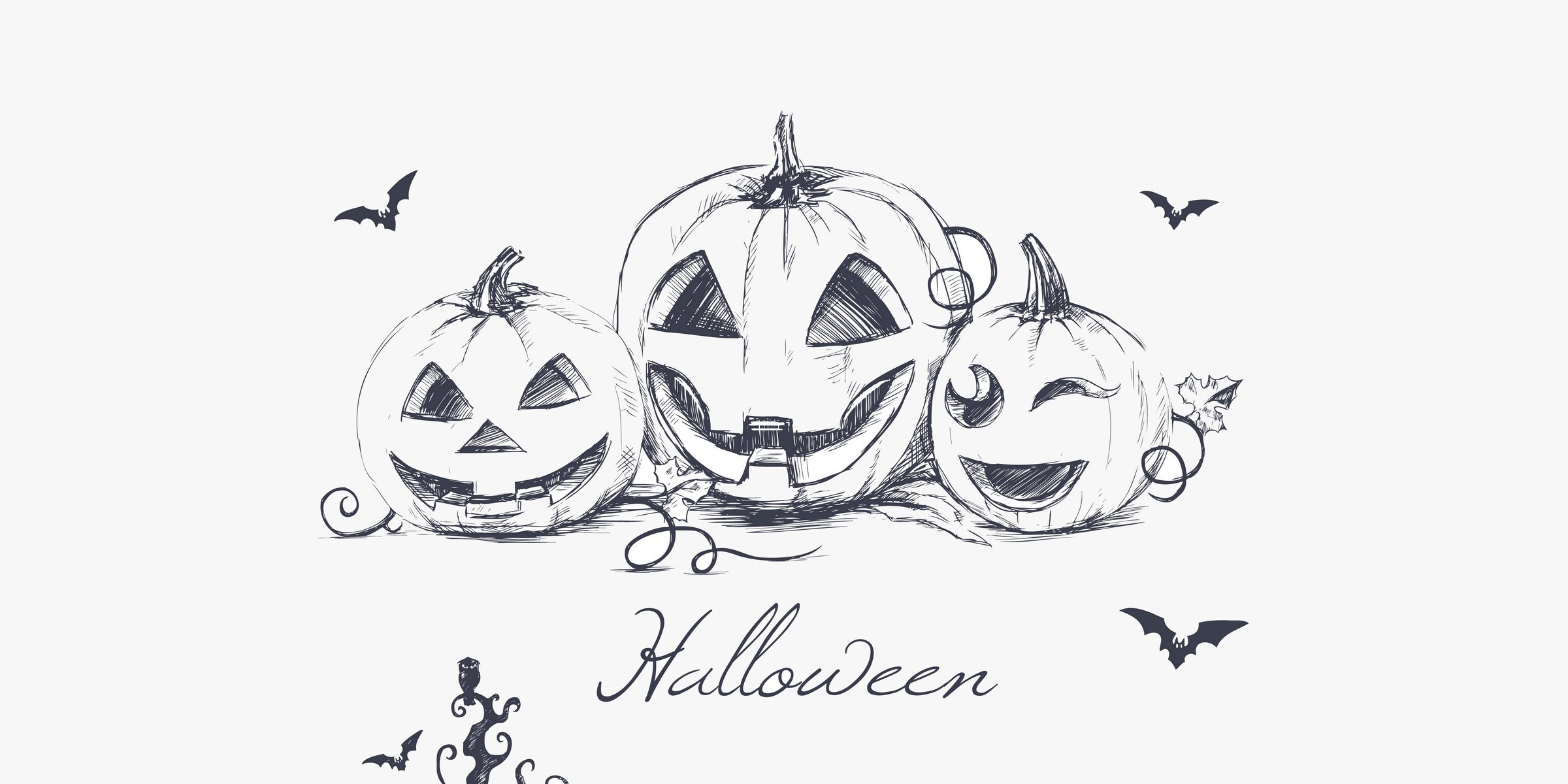 halloween evil pumpkins minimalism hand drawing bats creepy owl evil pumpkins hand drawing creepy owl