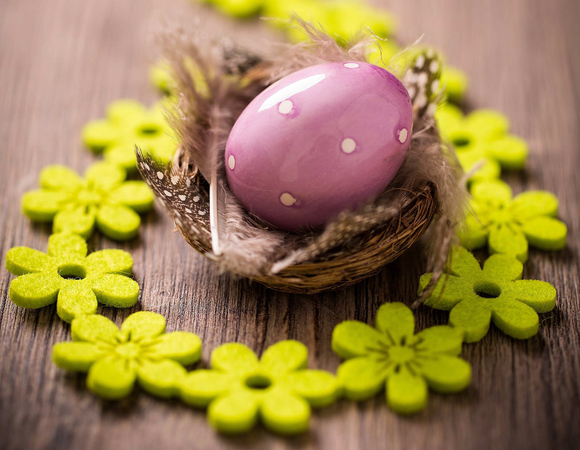 pascua huevos huevos de pascua pascua