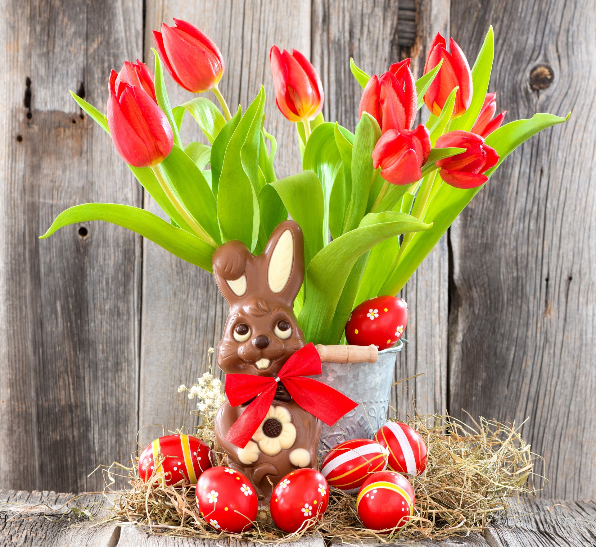 pâques oeufs fleurs tulipes lapin rouge