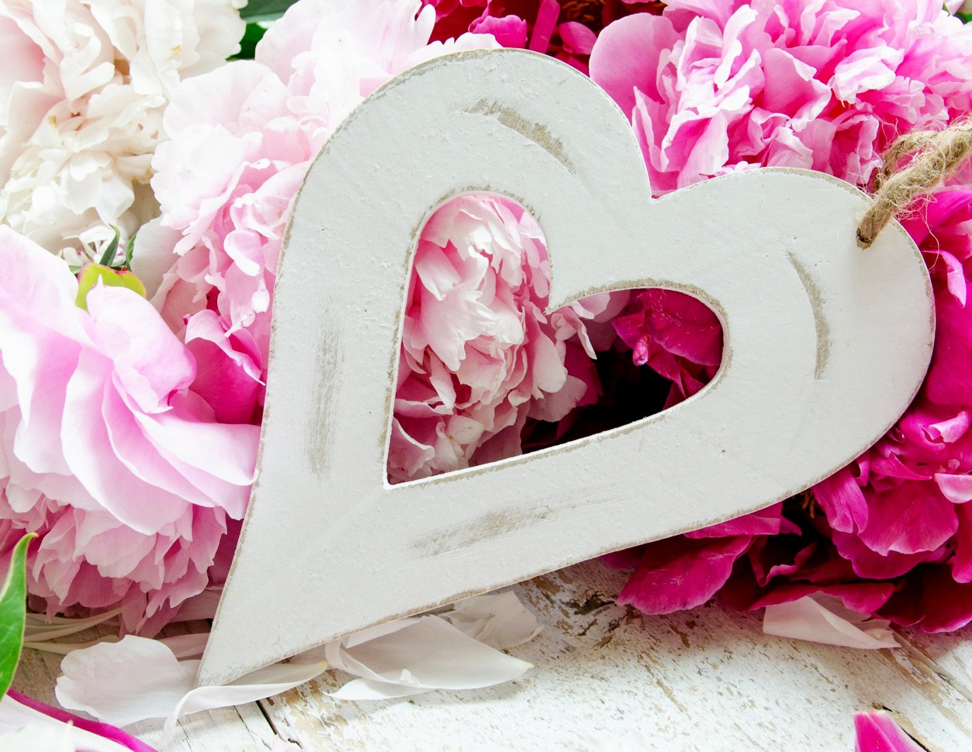 holiday heart flower peonies love flower