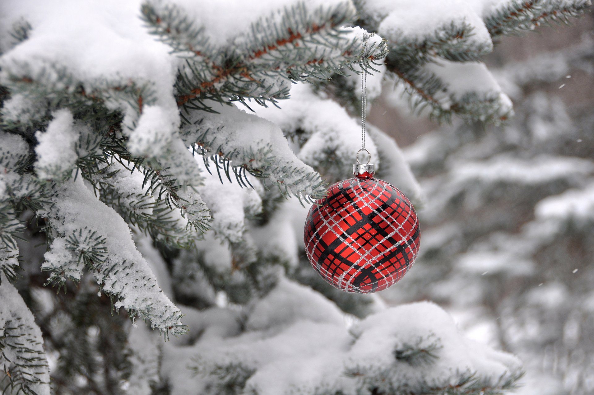 christmas tree winter ball decoration spruce new year christma