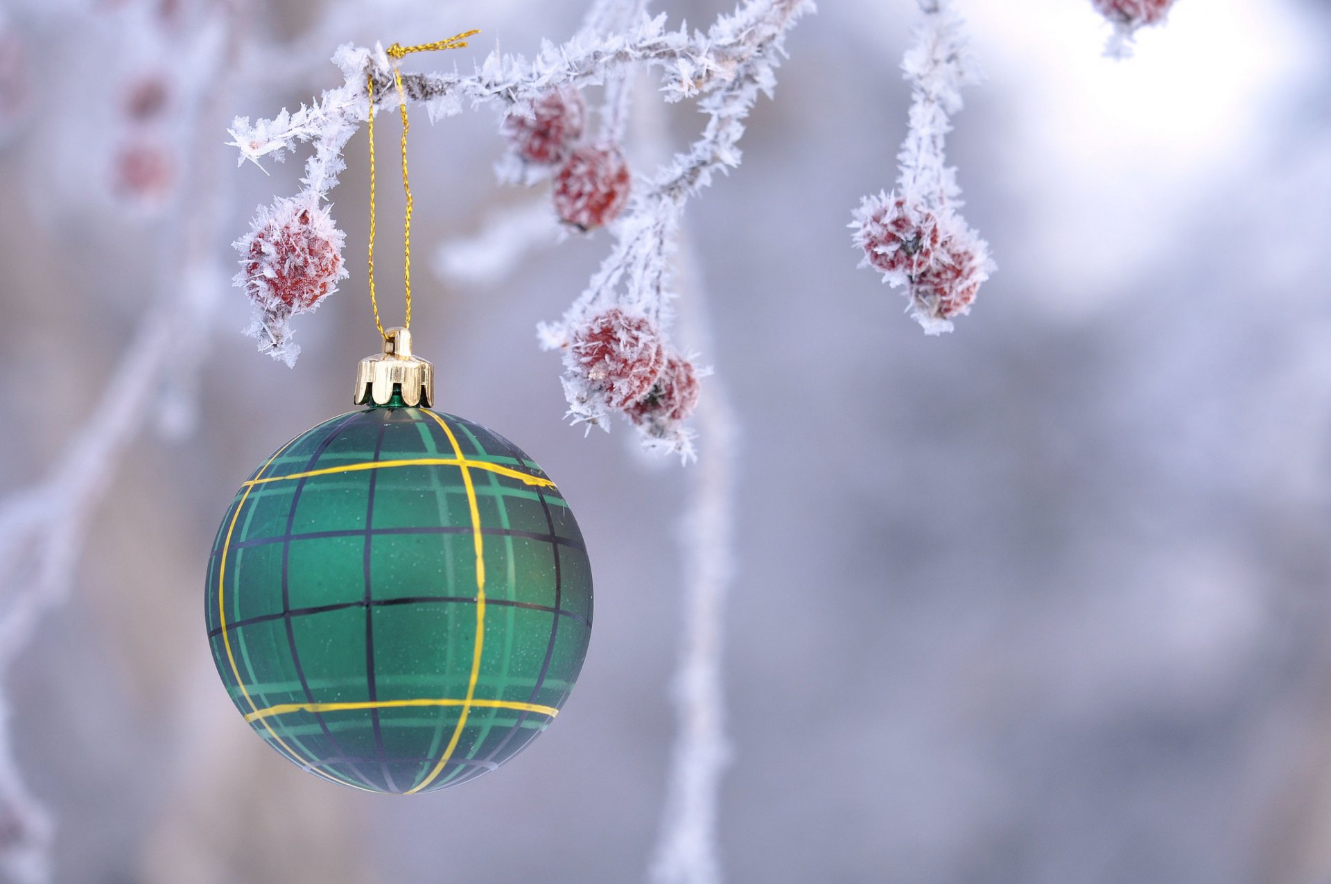 zweig obst frost ball spielzeug dekoration weihnachten neujahr