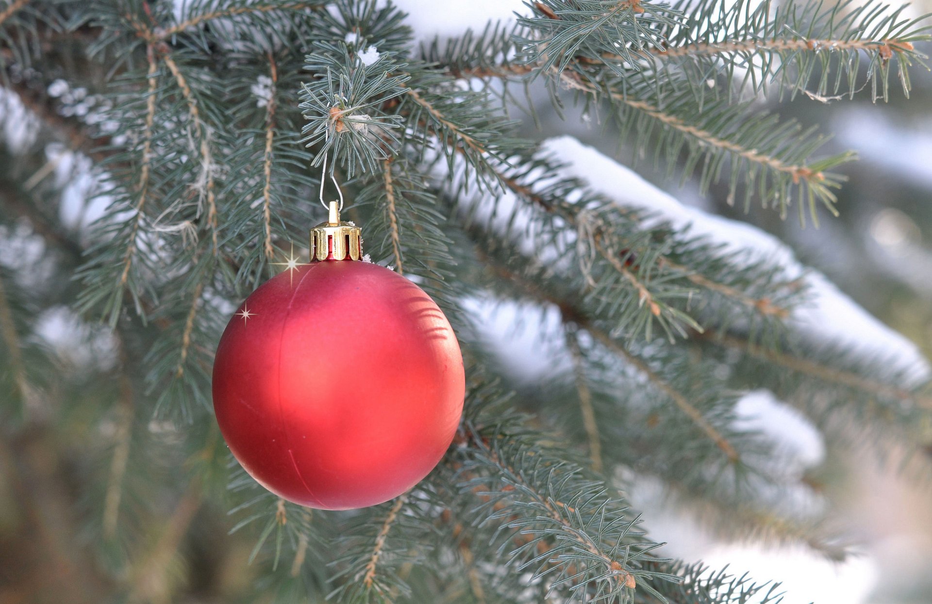 tanne zweig kugel dekoration neujahr weihnachten